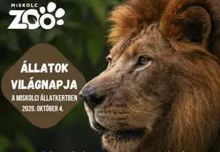 Állatok világnapja