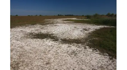 Geotóp-túra az alföldi mészkő birodalmában · Duna-Ipoly Nemzeti Park, Ócsa