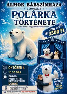 Polárka története