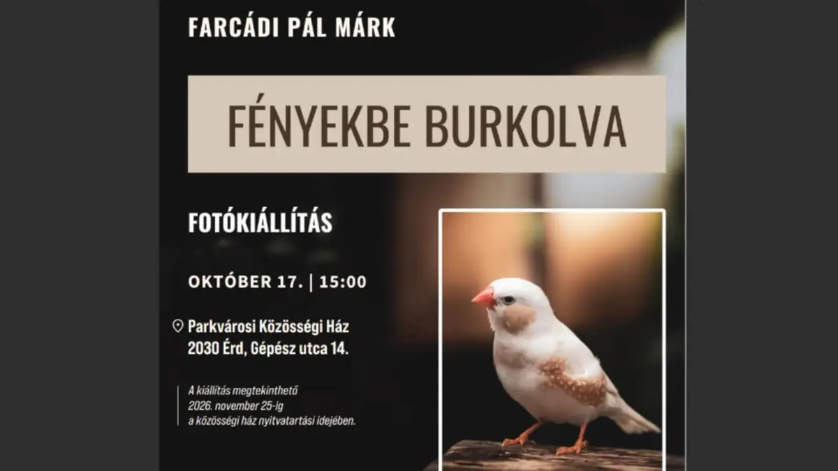 Kiállításmegnyitó – Fényekbe burkolva · PARKVÁROS, Érd