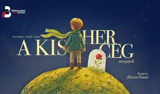 A kis herceg