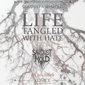 As They Rise · Collosseum club, Miskolc