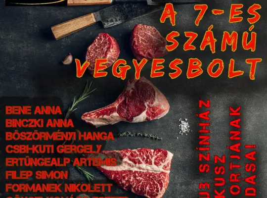 A 7-es számú vegyesbolt · Művészetek Háza Gödöllő, Gödöllő