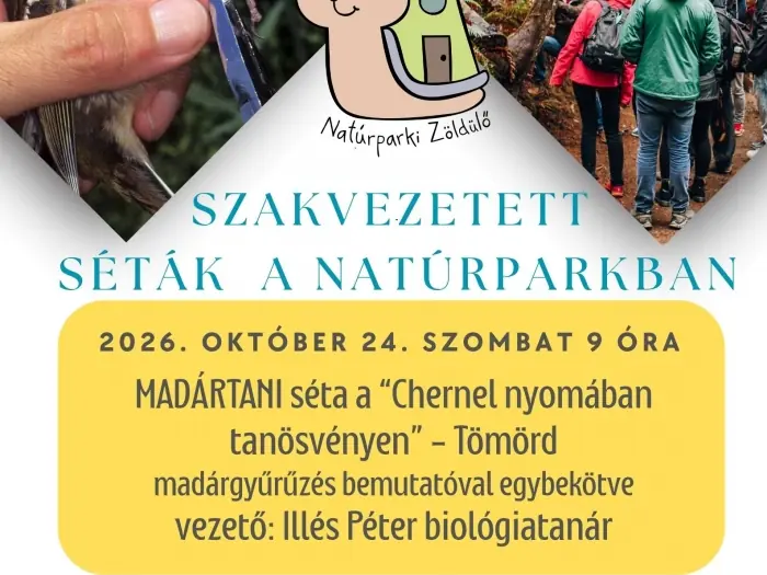 Madártani séta Tömördön, a Chernel nyomában tanösvényen madárgyűrűzéssel · Kőszeg, Kőszeg