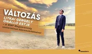 Duma Akadémia: Változás: Litkai Gergely önálló estje