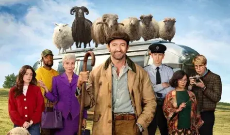 Birkakrimi - MetroPolice Filmfesztivál — Hírös Agóra, Kecskemét