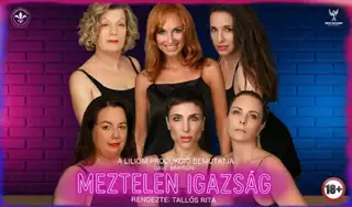 Meztelen igazság - zenés vígjáték