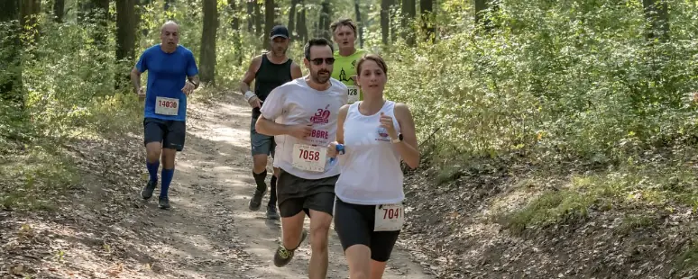 VIII. Kishegy Trail 7/ 14/ 21 — Kishegyi út, Balatonlelle