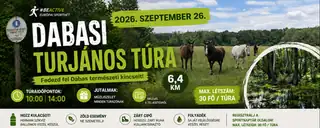 Dabasi turjános túra - #beactive