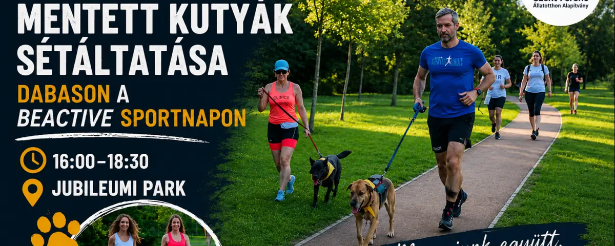 Mentett kutyák sétáltatása — Iskola u. 5, Dabas