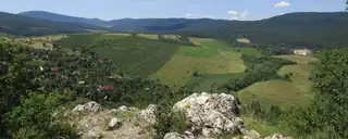 Pilisi Lombhullató - Maraton / Félmaraton / Maratonka