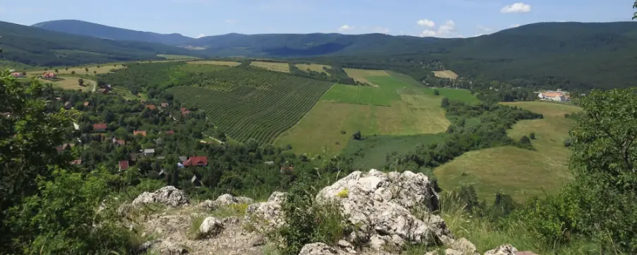 Pilisi Lombhullató - Maraton / Félmaraton / Maratonka — Hegyalja utca, Csobánka