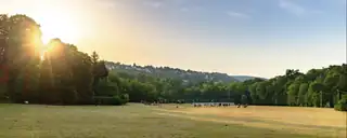 Rendezők a Rengetegben - 33 / 25 / 11 / 6 / 17