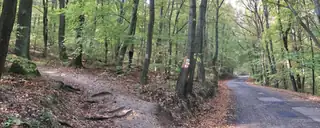 Tas Vezér - Maraton / Félmaraton / Maratonka