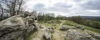 cnakriP Pirkanc visszafelé