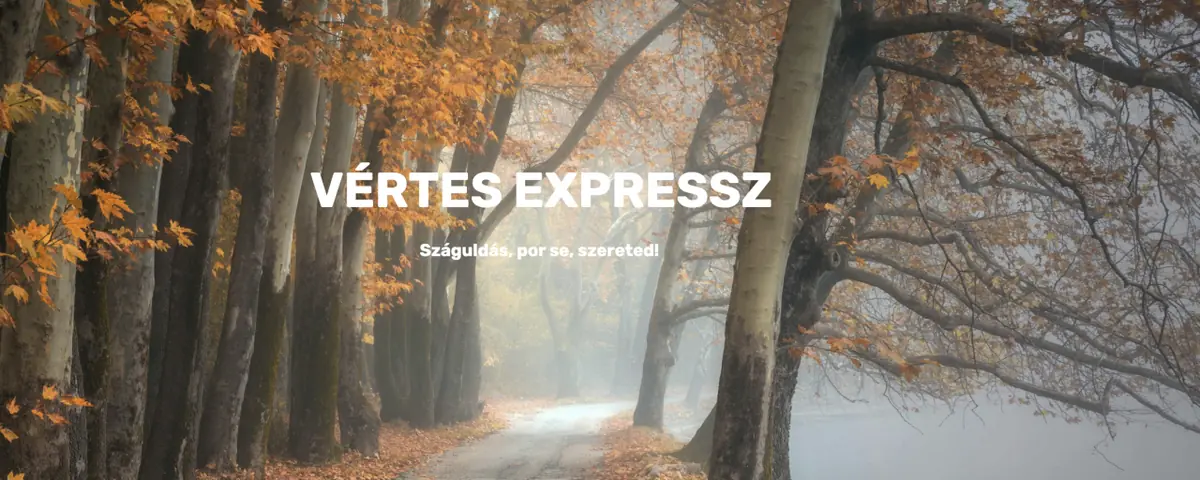 Vértes Expressz — erdő sor, Pusztavám