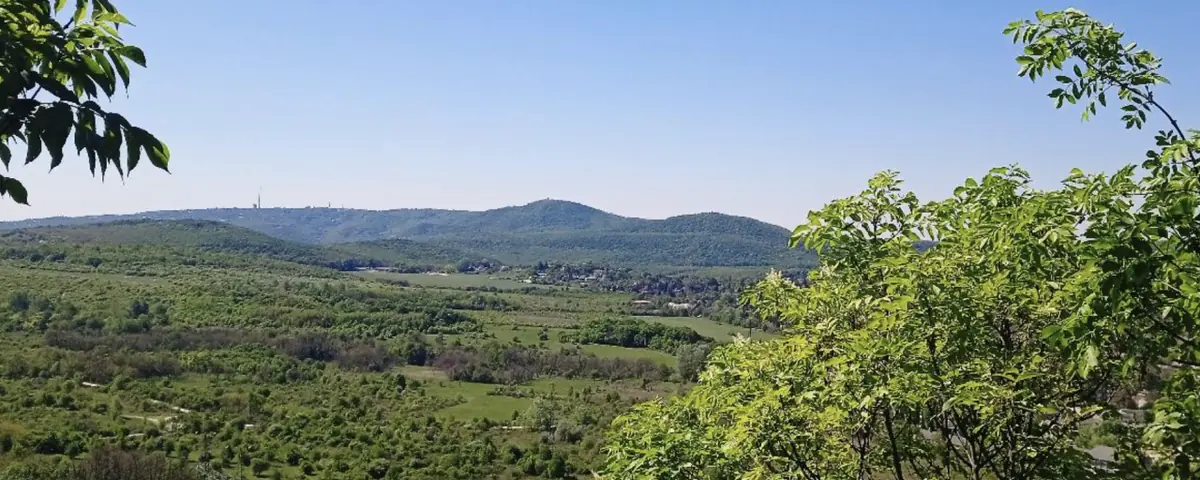 Virágos-nyergi séta - 20 / 6 — Máriahegy dűlő és Jánosbogár u találkozása, Budapest
