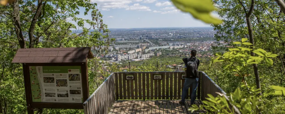 Egy napi járóföld - 21.8 / 10.3 / 5,5 — Schüller út, Budapest