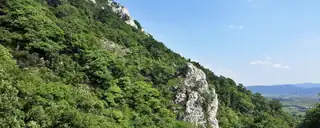 Pilisi Mikulásváró - Maraton / Félmaraton / Maratonka