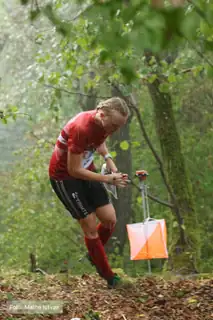 Országos Diákolimpia
