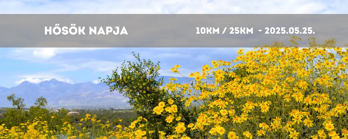 Hősök Napja - 10 / 20 — Pilisszántói út, Pilisszentkereszt