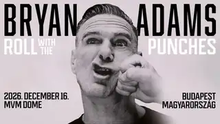 Bryan Adams - Roll with the Punches