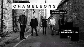 Chameleons