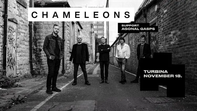 Chameleons — MOM Kulturális Központ, Budapest