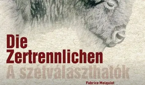 Die Zertrennlichen / A szétválaszthatók — Magyarországi Német Színház, Budapest