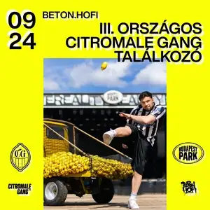 Beton.Hofi