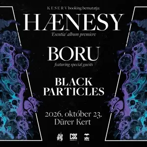 black particles — Dürer Kert, Budapest