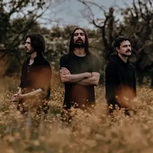 psychonautband