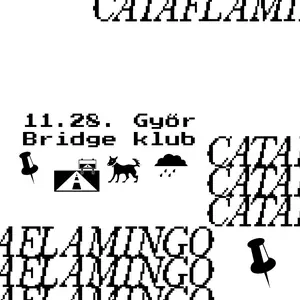 Cataflamingo — Bridge, Győr