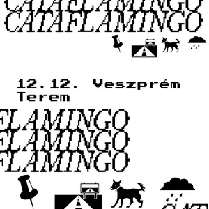 Cataflamingo — Terem Bár, Veszprém