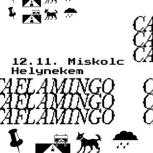 Cataflamingo — Helynekem, Miskolc