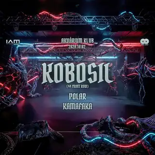 Kobosil