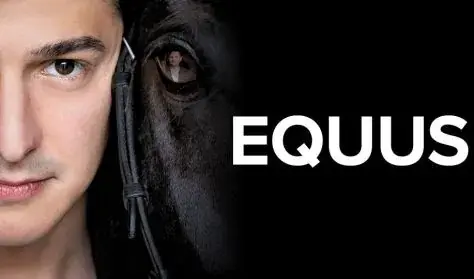 Equus — József Attila Színház, Gaál Erzsébet Stúdió, Budapest