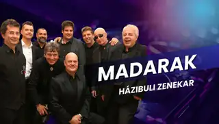 Táncest a Madarak Zenekarral