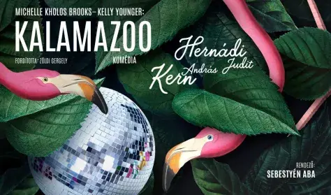 Kalamazoo — Ádám Jenő Általános Iskola és AMI, Szigetszentmiklós