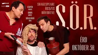 S.Ö.R.  SHAKESPEARE ÖSSZES RÖVIDÍTVE – Érd