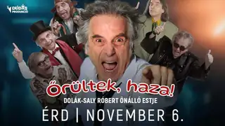Őrültek, haza! – Dolák-Saly Róbert önálló estje