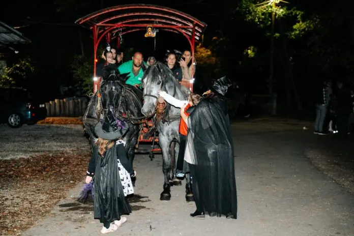 Rémségesen jó program Halloweenkor — Szegedi Vadaspark, Szeged