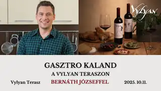 GASZTRO KALAND A VYLYAN TERASZON BERNÁTH JÓZSEFFEL 🍷☀️