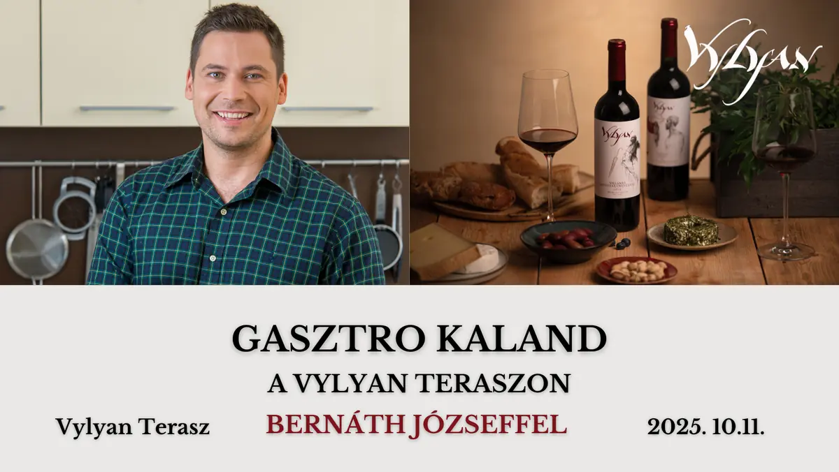 GASZTRO KALAND A VYLYAN TERASZON BERNÁTH JÓZSEFFEL 🍷☀️ — Vylyan Pincészet, Kisharsány