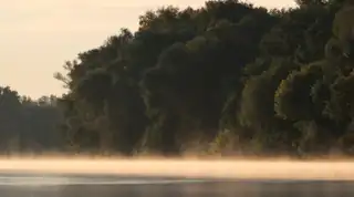 Madárles őszi ösvényeken