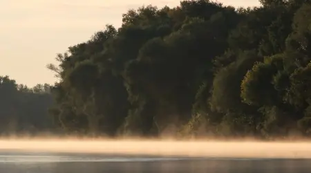 Madárles őszi ösvényeken — Körös–maros Nemzeti Park, Budapest