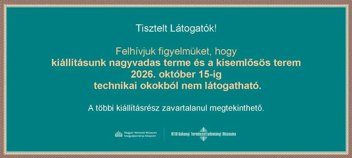 Bakonyi Természettudományi Múzeum Kiállítása