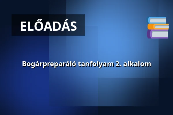 Bogárpreparáló tanfolyam 2. alkalom — artento, Budapest