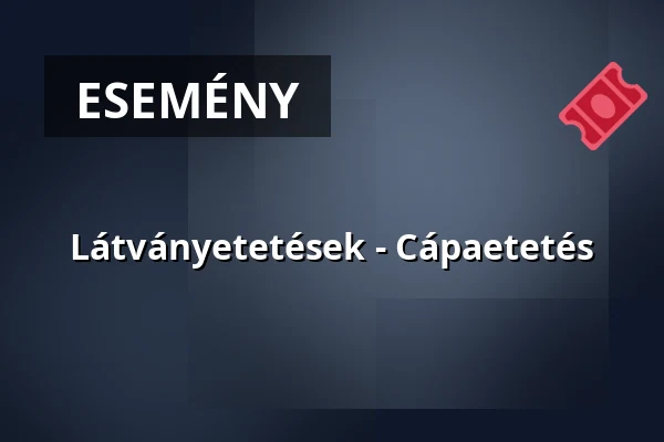 Látványetetések - Cápaetetés — Nyíregyházi Állatpark (sóstó Zoo), Nyíregyháza