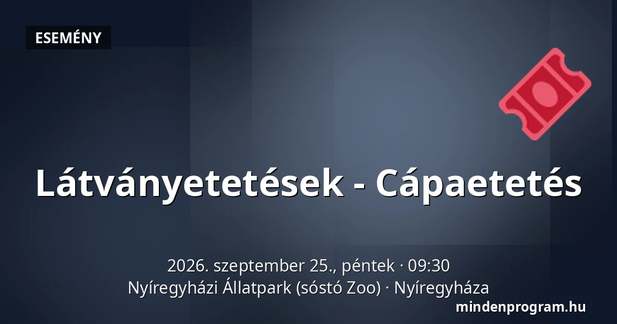 Látványetetések - Cápaetetés — Nyíregyházi Állatpark (sóstó Zoo), Nyíregyháza